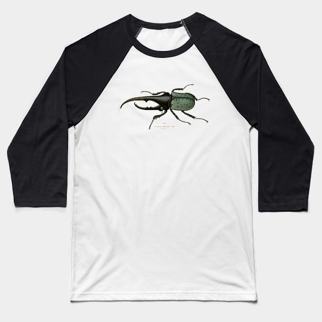 Hercules Beetle Vintage Illustration Baseball T-Shirt by chriswig